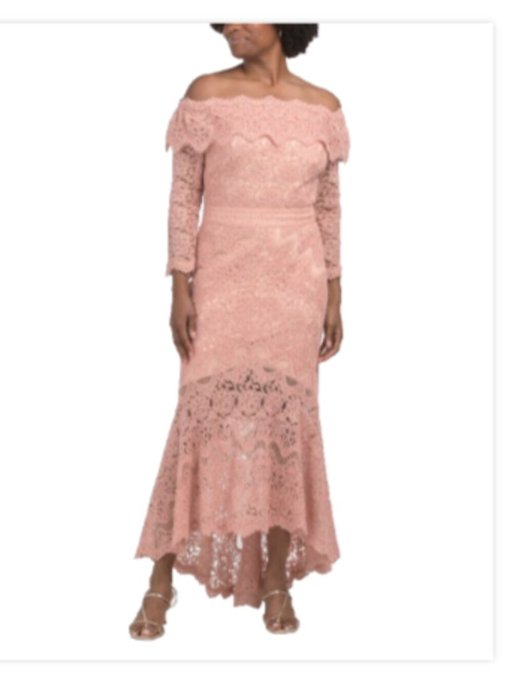 TADASHI SHOJI Morrow Off-Shoulder Embroidrd Tulle High-Low Dress Antique Pink 12